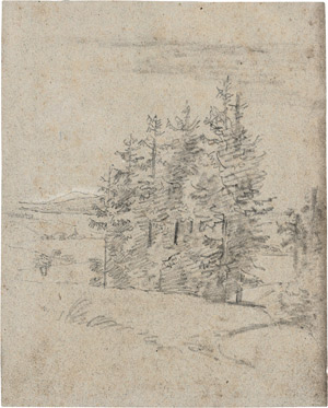 Lot 6617, Auction  110, Carus, Carl Gustav, Weite Landschaft mit Fichtengruppe