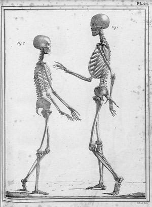 Lot 311, Auction  111, Cloquet, Jules-Germain C., Manuel d'anatomie descriptive du corps humain