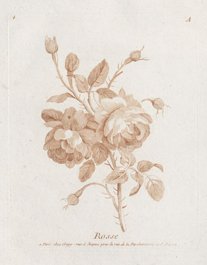 Lot 424, Auction  111, Crépy, Jean-Baptiste, Nouveaux livres de fleurs avec ses traits