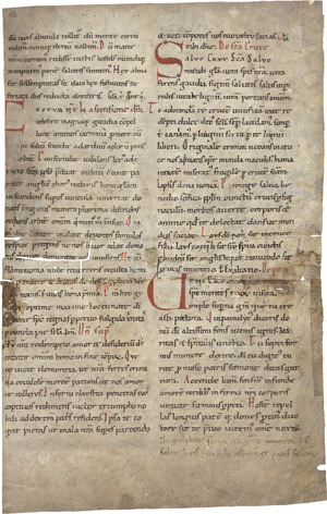 Lot 1003, Auction  111, Salve, crux sancta, Fragment einer Homilienhandschrift 