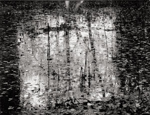 Lot 4119, Auction  111, Bauer, Wilfried, Untitled (Reflecting wet road in Autumn)