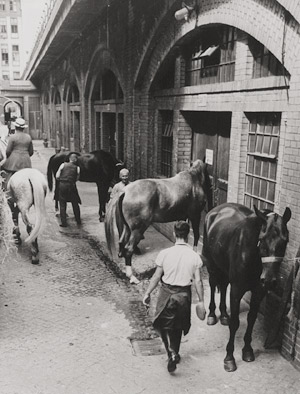 Lot 4289, Auction  111, Press Photography, Horses at the Tattersall, Berlin