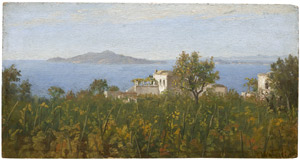 Lot 6148, Auction  111, Wegelin, Heinrich, Blick von Pozzuoli auf Capri, rechts Capo Miseno