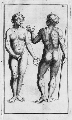 Los 210 - Kulmus, Johann Adam - Anatomische Tabellen - 0 - thumb