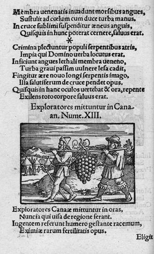 Los 519 - Aemilius, Georg und Beham, Hans Sebald - Biblicae historiae magno artificio depictae, et utilitatis publicae causa  - 1 - thumb