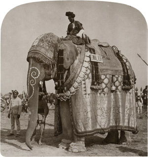 Lot 4025, Auction  112, British India, Views of the Delhi Durbar of 1903