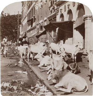 Lot 4026, Auction  112, British India, Views of India