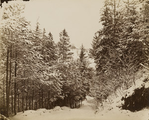 Los 4060 - Kotzsch, August - Forest in winter - 0 - thumb