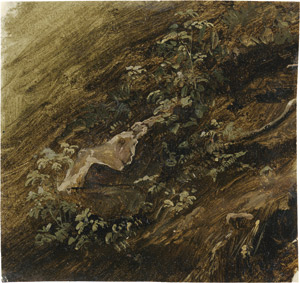 Los 6639 - Gauermann, Friedrich - Waldboden mit einem Stein und Blattpflanzen - 0 - thumb