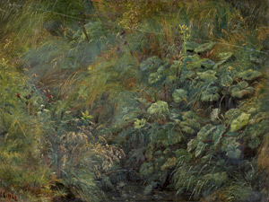 Lot 6158, Auction  113, Christensen, Polycarpus Godfred Benjamin, Pflanzen in Farum, nördlich von Kopenhagen