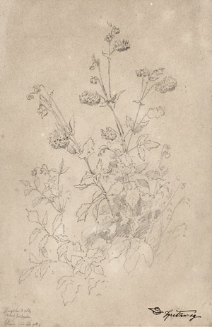 Lot 6817, Auction  113, Spitzweg, Carl, Pflanzenstudie mit Wildblumen