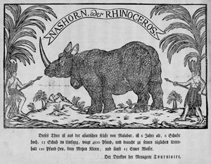Lot 5549, Auction  114, Deutsch, 19. Jh. . "Nashorn oder Rhinoceros"