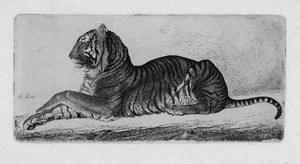 Lot 5556, Auction  114, Grimm, Ludwig Emil, Liegender Tiger