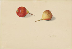 Lot 6316, Auction  114, Blaschek, Franz, Studienblatt mit zwei Forellenbirnen