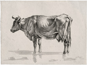 Lot 6624, Auction  114, Troostwyk, Wouter Joannes van, Studie einer stehenden Kuh nach links