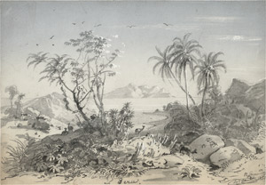 Lot 6684, Auction  114, Rugendas, Johann Moritz, Peruanische Küstenlandschaft mit Palmen und Lamas