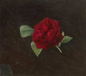 Lot 7339, Auction  114, Libert, Betzy Marie Petrea, Studie einer roten Rose