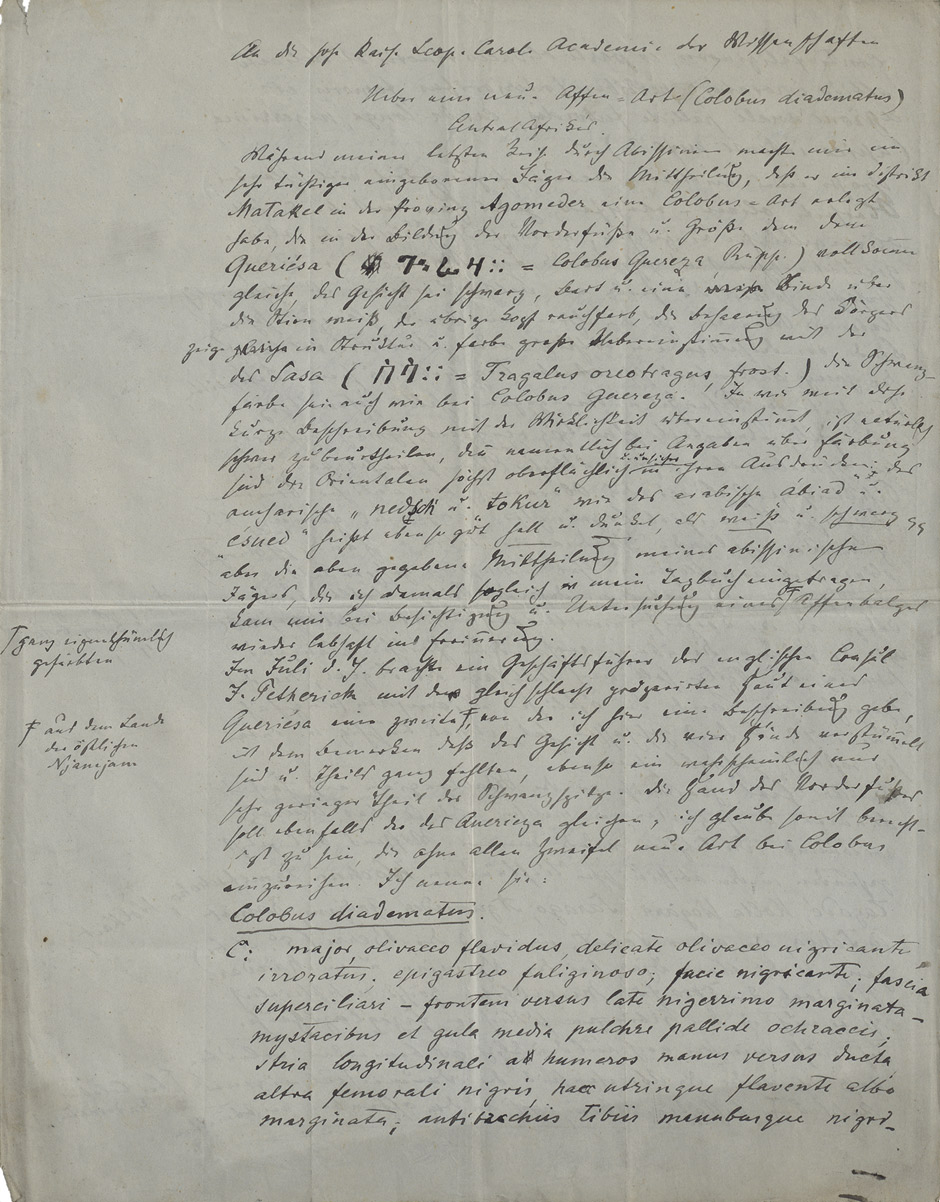 Lot 2641, Auction  115, Heuglin, Theodor von, Manuskript-Brief aus Afrika