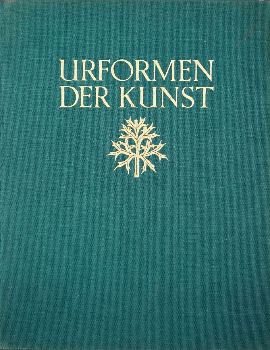 Lot 3489, Auction  115, Blossfeldt, Karl, Urformen der Kunst. - Erste Ausgabe