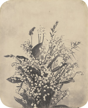 Lot 4060, Auction  115, Unknown Photographer, Flower still life with Lily of the Valley