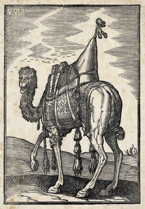 Lot 6289, Auction  115, Lorch, Melchior, Zweihöckriges Kamel mit Paradesattel