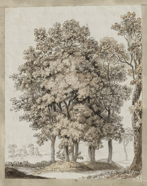 Lot 6724, Auction  115, Tischbein, Johann Heinrich Wilhelm, Weite Landschaft mit kleiner Baumgruppe