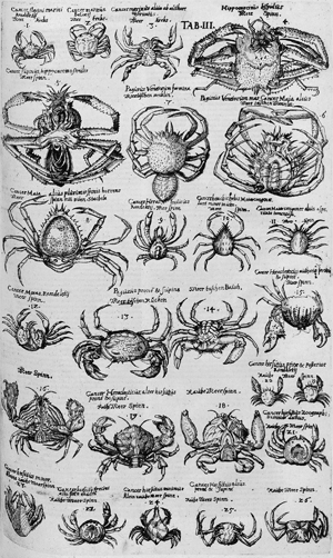 Lot 391, Auction  116, Aldrovandi, Ulisse, De animalibus insectis libri septem