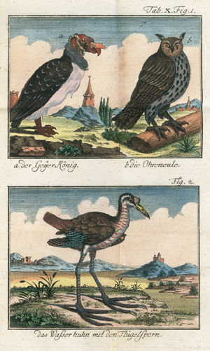 Lot 402, Auction  116, Heppe, Johann Christoph, Systematisches Lehrbuch über die drey Reiche der Natur