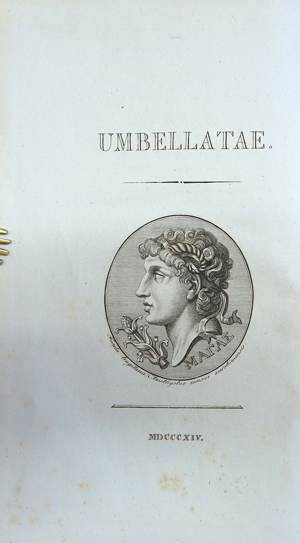 Lot 404, Auction  116, Hoffmann, Georg Franz, Genera plantarum umbelliferarum eorumque characteres naturales
