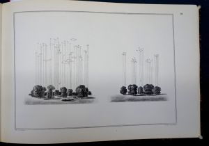 Lot 429, Auction  116, Pückler-Muskau, Hermann Ludwig Heinrich, Andeutungen über Landschaftsgärtnerei  