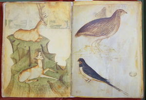 Lot 1272, Auction  116, Musterbuch des Giovannino de Grassi, Das, Biblioteca Civica "Angelo Mai"