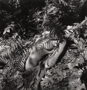 Lot 4178, Auction  116, Henle, Fritz, Female nude in ferns