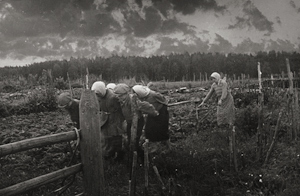 Lot 4274, Auction  116, Russian War Photography, Selected images by Russian photographers during WWII