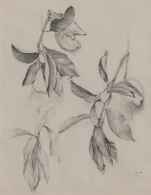 Lot 8147, Auction  116, Huet, René-Ernest, Stilleben mit Zweigen eines Zitronenbaums