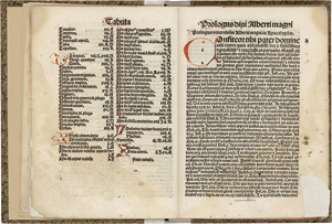 Lot 1077, Auction  117, Albertus Magnus, Postillatio in Apocalypsim. Basel, Jakob Wolff aus Pforzheim, 1506.