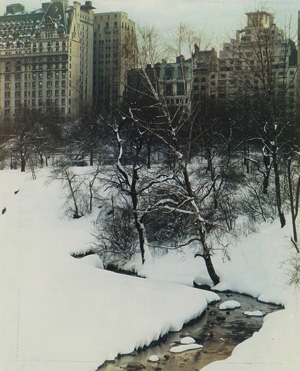Lot 4135, Auction  117, Color Photography, Central Park, New York in winter