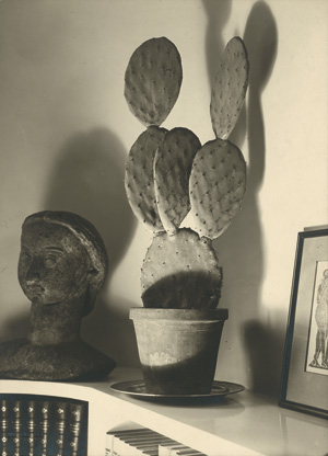 Lot 4220, Auction  117, Kessels, Willy, Cactus and sculpture