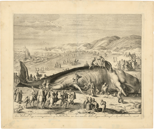Lot 5132, Auction  117, Matham, Jacob - nach, Der gestrandete Walfisch zwischen Scheveningen und Katwyk