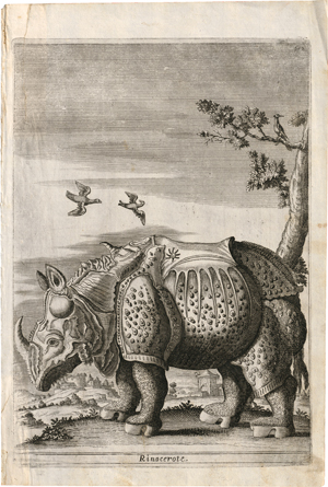 Lot 5590, Auction  117, Niederländisch, 17. Jh. "Rinocerote": Rhinozeros