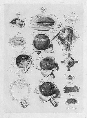 Lot 326, Auction  118, Mayer, J. C. A., Anatomische Kupfertafeln (Text- und Tafelband)