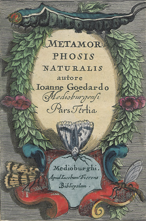 Lot 394, Auction  118, Goedardt, Jan, Metamorphoseos et historiae naturalis de insectis