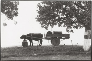 Lot 4173, Auction  118, Fischer, Arno, Reportage photo series of India