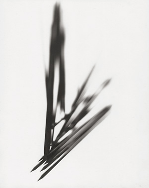 Lot 4306, Auction  118, Sager, Helen, Abstract image from the "Mikado" series 