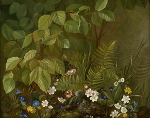 Lot 6174, Auction  118, Dänisch, 19. Jh. Blätterdickicht mit Farnen und Wildblumen