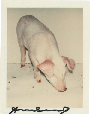 Lot 8198, Auction  118, Warhol, Andy, Fiesta Pig