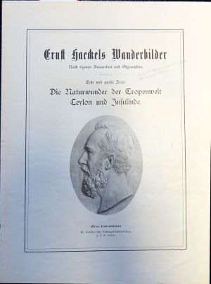 Lot 43, Auction  119, Haeckel, Ernst, Wanderbilder