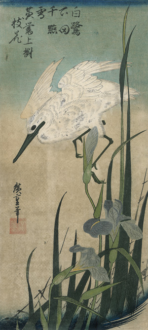 Lot 381, Auction  119, Hiroshige, Utagawa, Hanashoubu ni shirasagi (Weißer Reihe über der Iris). Farbholzschnitt 