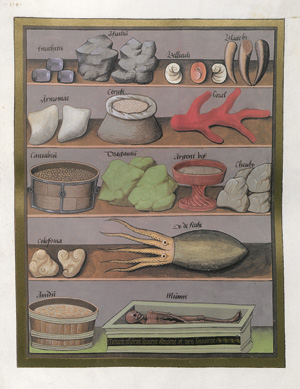 Lot 1548, Auction  119, Libro de los medicamentos simples, Faskimile des Codex der Russischen Nationalbibliothek