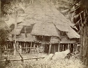 Los 4051 - Dutch India - Dayak house, Borneo - 0 - thumb