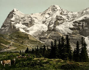 Lot 4074, Auction  119, Photochromes, Views of the Swiss Alps